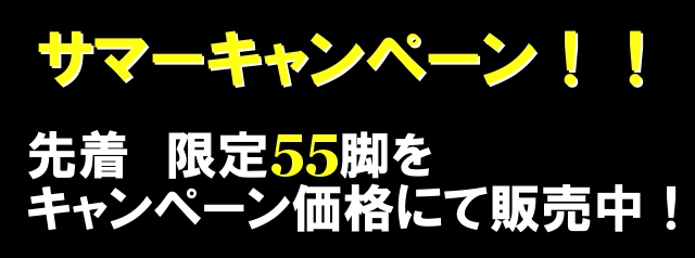 限定55脚のみ キャンペーン価格にて!サマーキャンペーン中!【2014年7月3日〜7月31日まで】