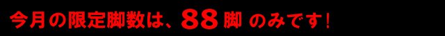 限定80脚のみ レカロシートキャンペーン!【2015年3月3日〜3月31日まで】