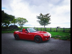 MAZDA@[hX^[@NCECi2005Nj@Ɂ@RECAROiJj@SR-7@KK100@RED@V[gq[^[t@@SR-7F@KK100@RED@V[gq[^[t@