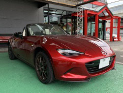 MAZDA@[hX^[@ND@Ɂ@RECAROiJj@LX-F@WL110H@U[@~E@